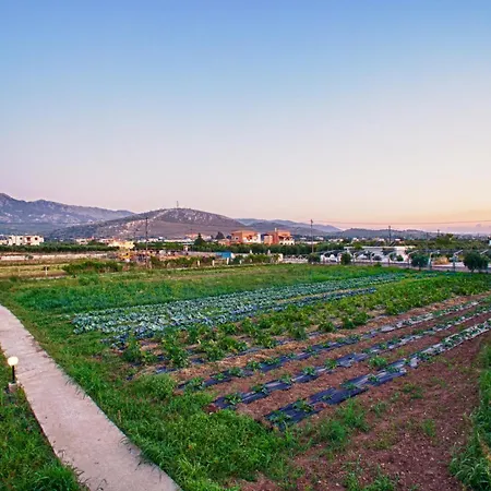 Apart-hotel Ilios K Village Tigaki