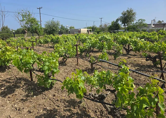 Ilios K Village 아파트호텔 4*