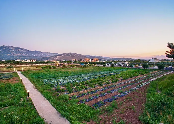 아파트호텔 Ilios K Village Tigaki