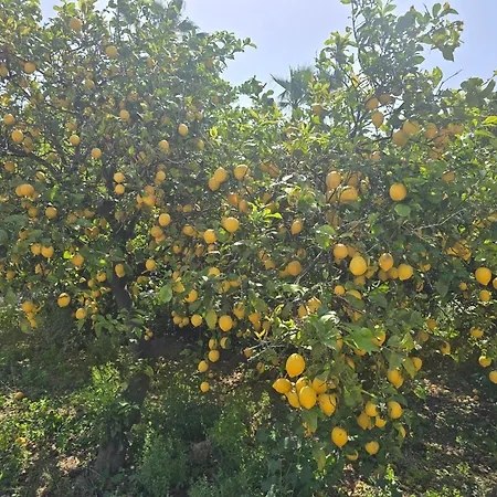 Ilios K Village Tigkaki (Kos)