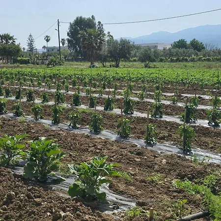 Ilios K Village 公寓式酒店