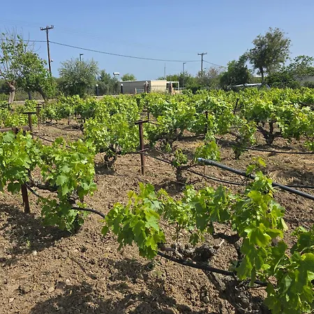 Ilios K Village Appart hôtel 4*