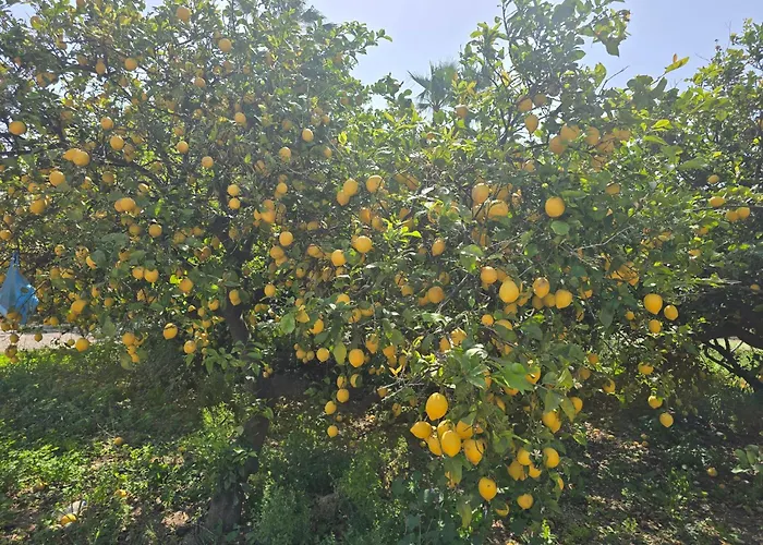 Ilios K Village Tigaki